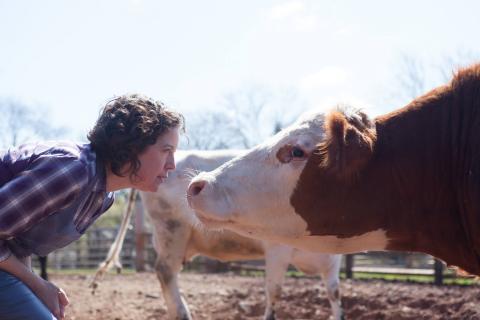 Corinna Burns with a cow for Charolais.  Photo: Plate 3